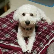 べべ♡プロフ見てください