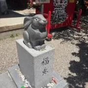 ギギの画像