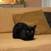 二次会の画像