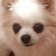 masao-kunの画像