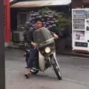 武司酒井の画像