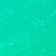 いっちゃんの画像