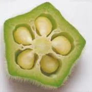 オクラの画像