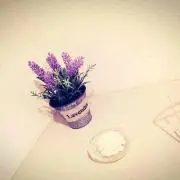 みゆき