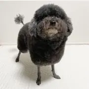ゆりもりの画像