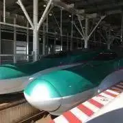 柚の画像