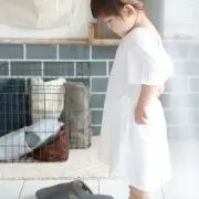 レオの画像