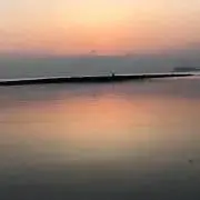 めうめうの画像