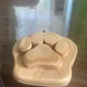 肉球の画像