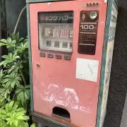 Ricoの画像