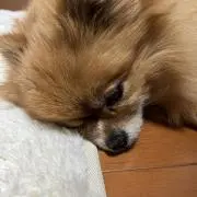 こう