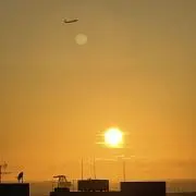 おいも