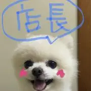 ぽんた店長★飼い主の対応までお待ち下さいの画像