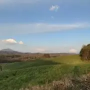シー