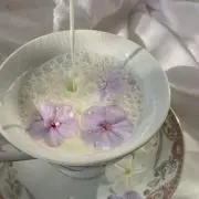 ふ(土日発送)の画像