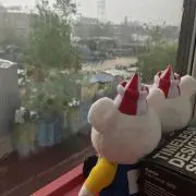 えだまめの画像