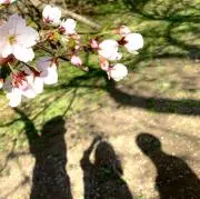 み
