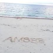AMS88の画像