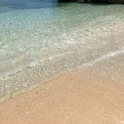 ｚｅｅの画像
