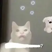 ねこの画像