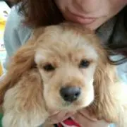 姫ちゃん(*´ω｀*)
