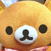 Sakiの画像