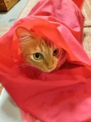 M.の画像