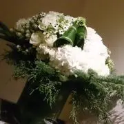 ☆kirariの画像