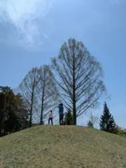 アルパカ25の画像