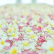 もみる☆プロフ必読！の画像