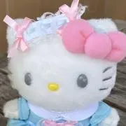 ポンの画像