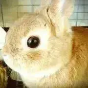 K-mama*プロフ必読の画像