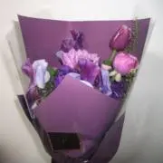 ˚✧₊の画像