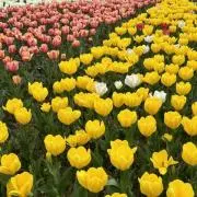 きいけい❣️の画像