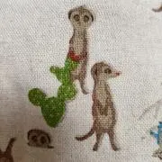 ミーアキャットの画像