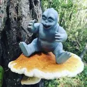 ミニラの画像