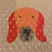 t.tの画像