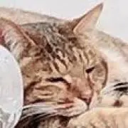 どら焼き 24の画像
