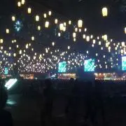 ごっちー