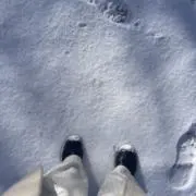 mの画像