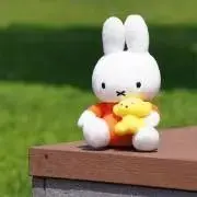 えみぴの画像