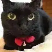 あきまま　プロフ読んでねの画像