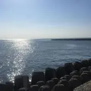 かにかまの画像