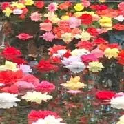 みこ☆断捨離☆プロフ必読願い