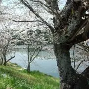 笠崎◇匿名配送メインの画像