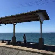 べーちゃんの画像