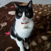 mmmの画像