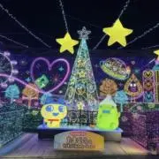 nnn⭐️即購入OKです⭐️の画像