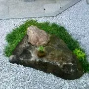 ぴょん吉の画像