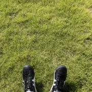 なる